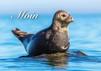 WPK See 014   Ostseeküste