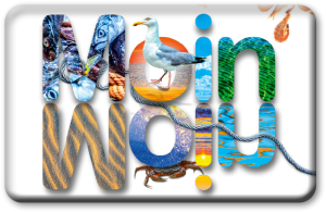 MD See Moin.  See/Ostseeküste, Nordseeküste