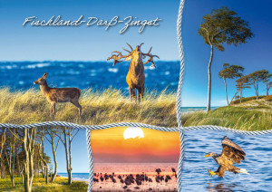 WPK FDZ 009 Fischland-Darß-Zingst