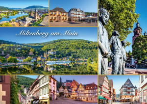 WPK Milten 007.    Miltenberg am Main