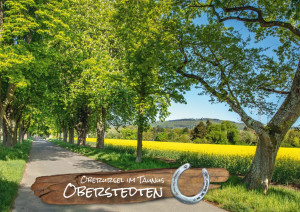 WPK Taunus 002.   Oberursel / Oberstedten