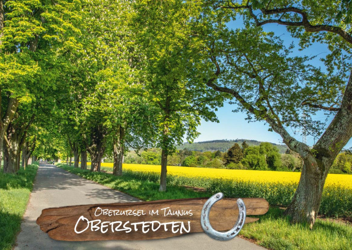 WPK Taunus 002.   Oberursel / Oberstedten